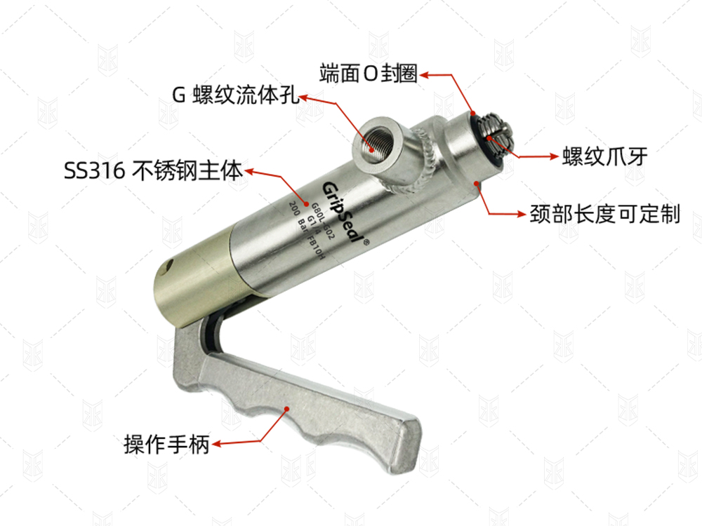 http://www.www175hk.com/nlw/214.html